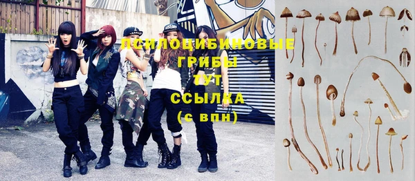 гашиш Россошь
