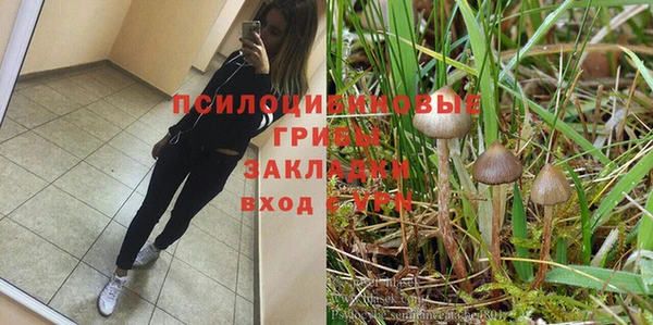 mix Армянск