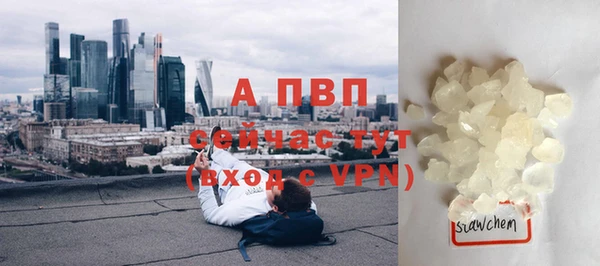 apvp Арсеньев