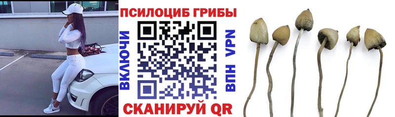 Галлюциногенные грибы Cubensis  где купить наркотик  Ухта 